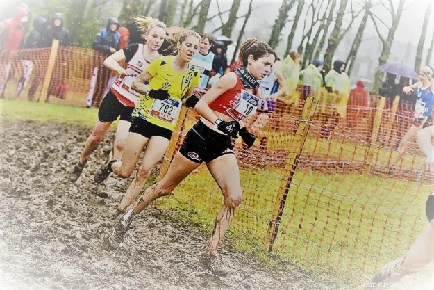 Sport élite et études