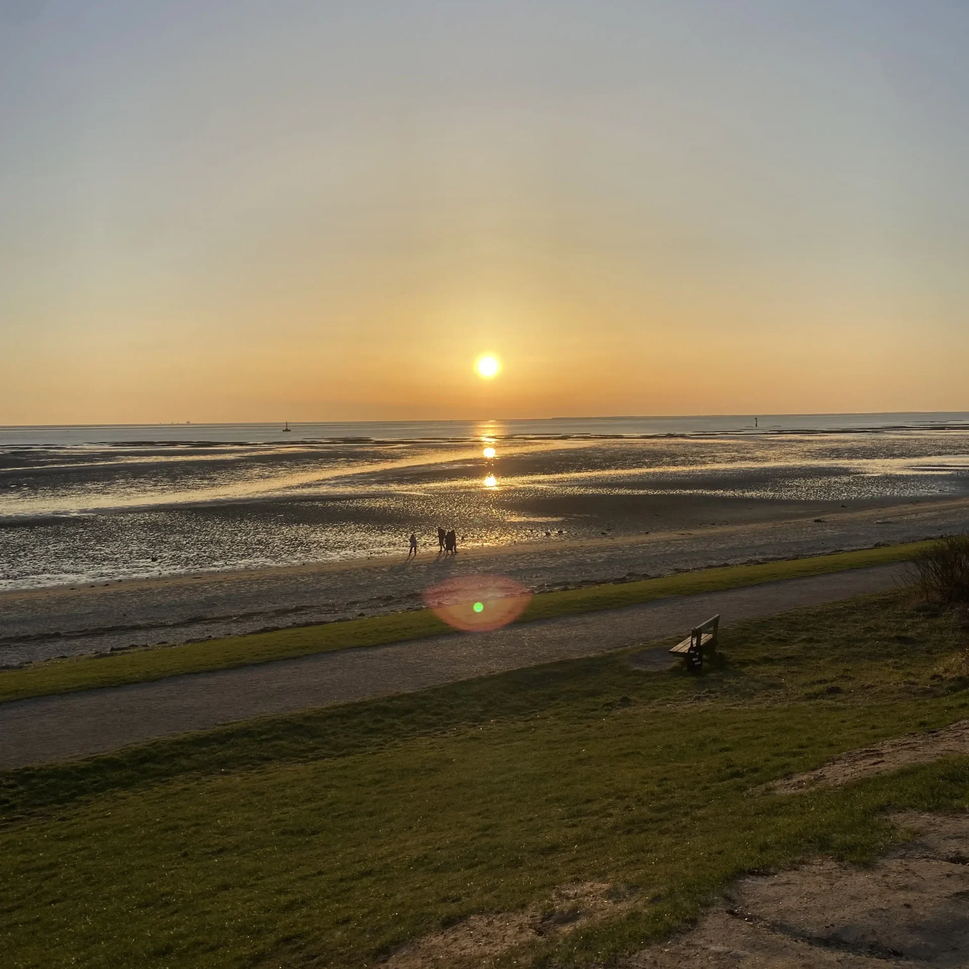 Stage au Danemark, 2 étudiants en 3ème année en témoignent