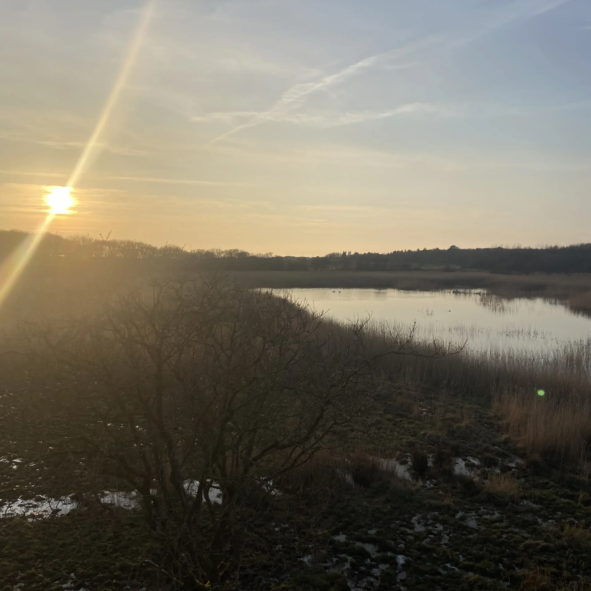 Stage au Danemark, 2 étudiants en 3ème année en témoignent