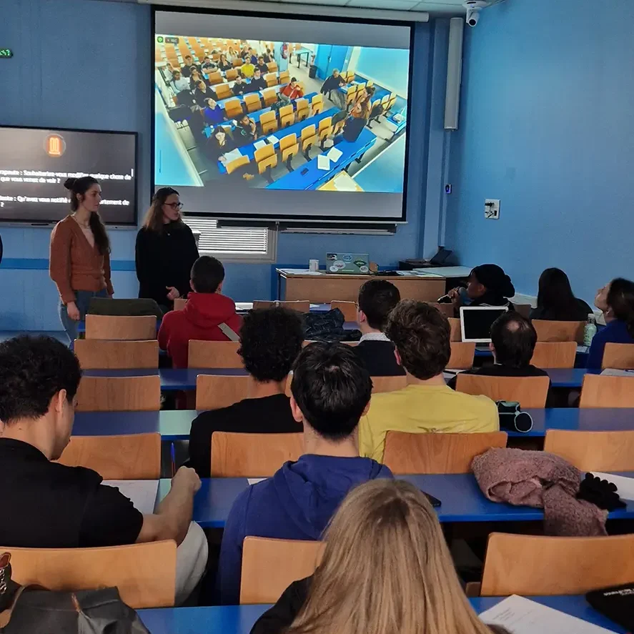 vss en milieu professionnel