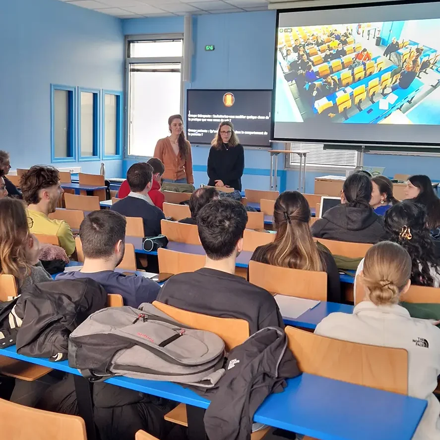 vss en milieu professionnel