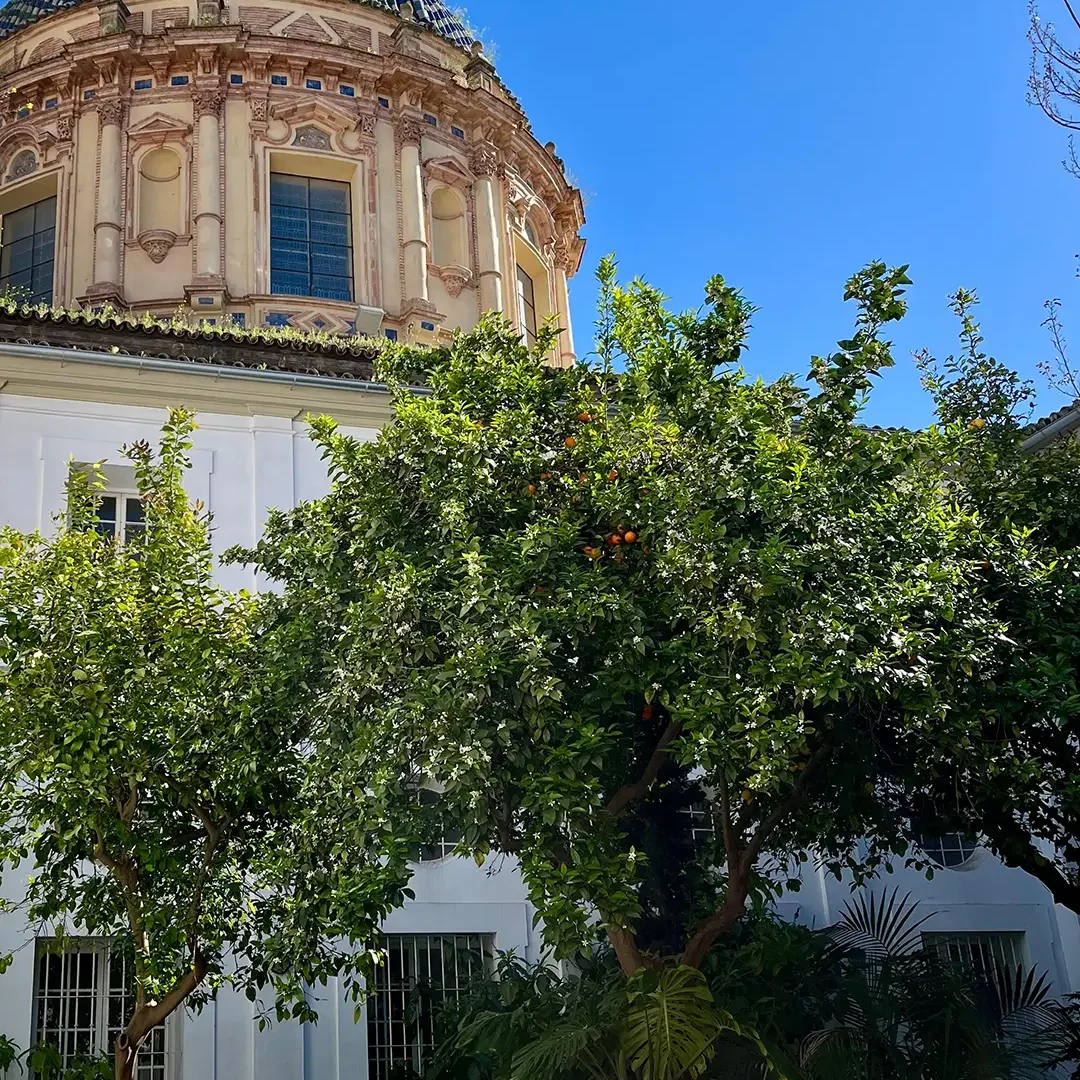 Stage à l’international en formation Kiné