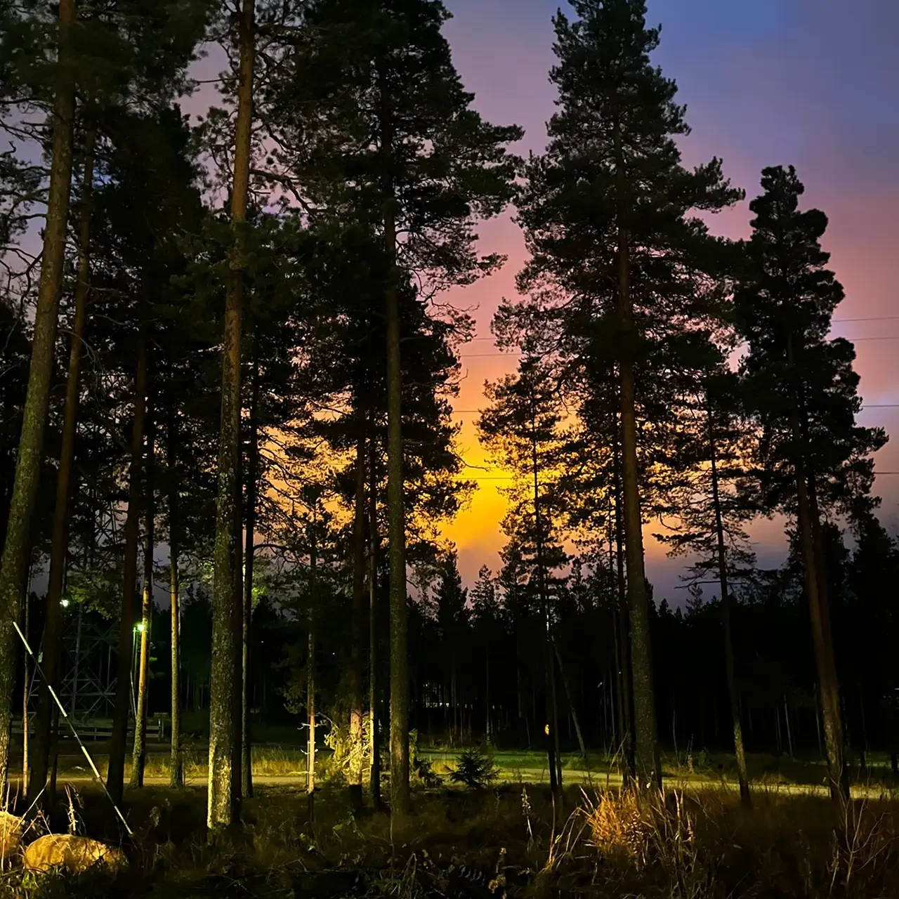 Sous les aurores boréales : le CEERRF en immersion pédagogique en Finlande