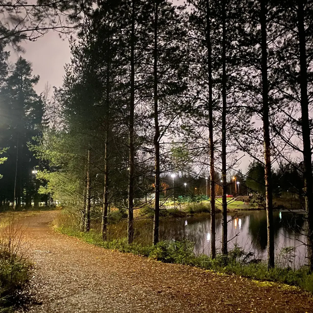 Sous les aurores boréales : le CEERRF en immersion pédagogique en Finlande