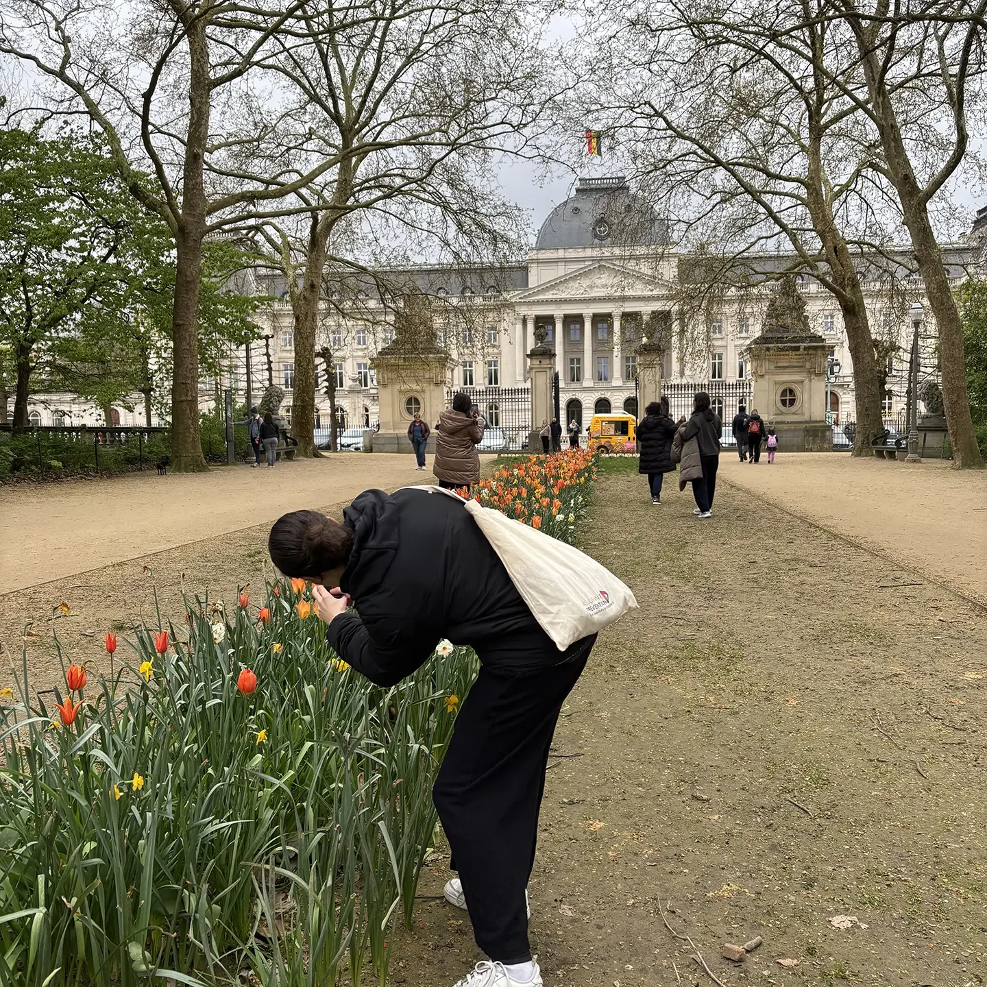 Témoignage Erasmus+ : Julie à Bruxelles, la mobilité francophone qui change tout