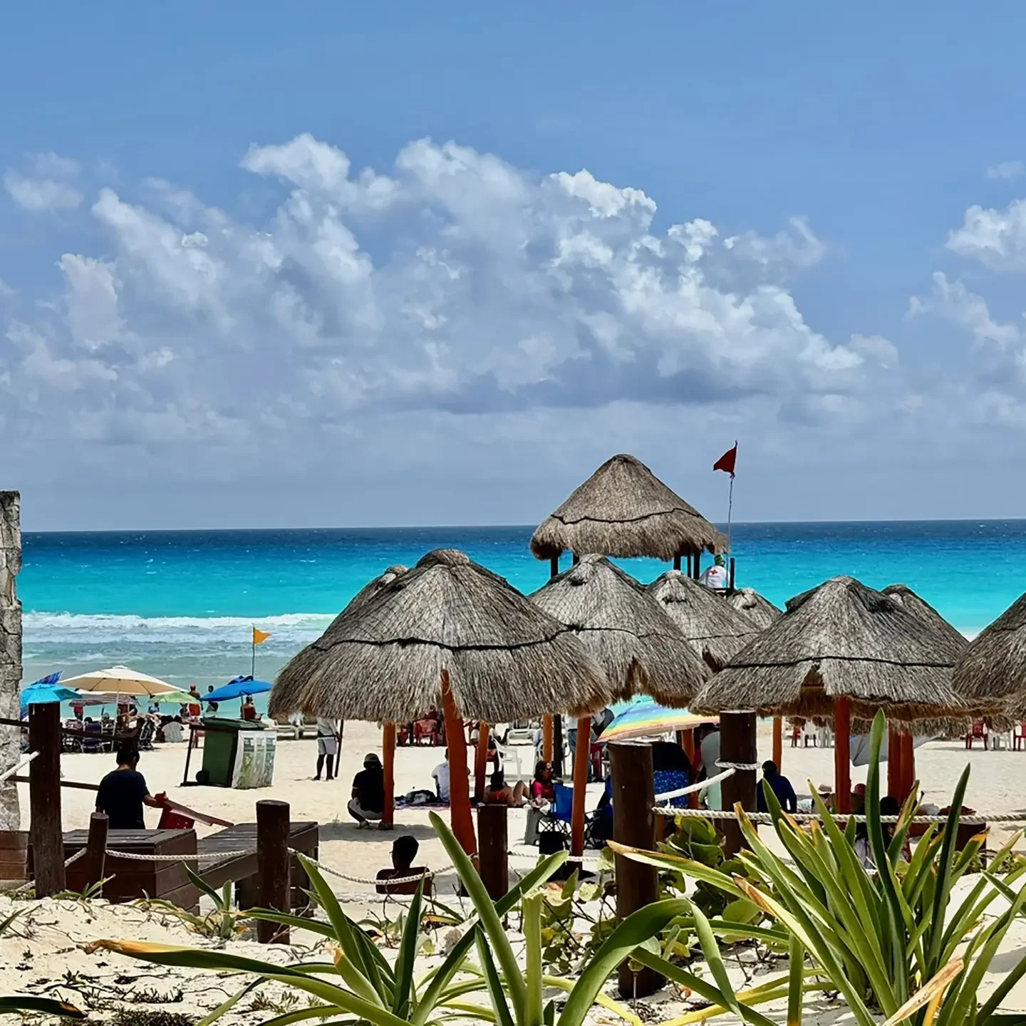 Viva México ! Rosa part en stage Erasmus+ de l'autre côté de l'Atlantique