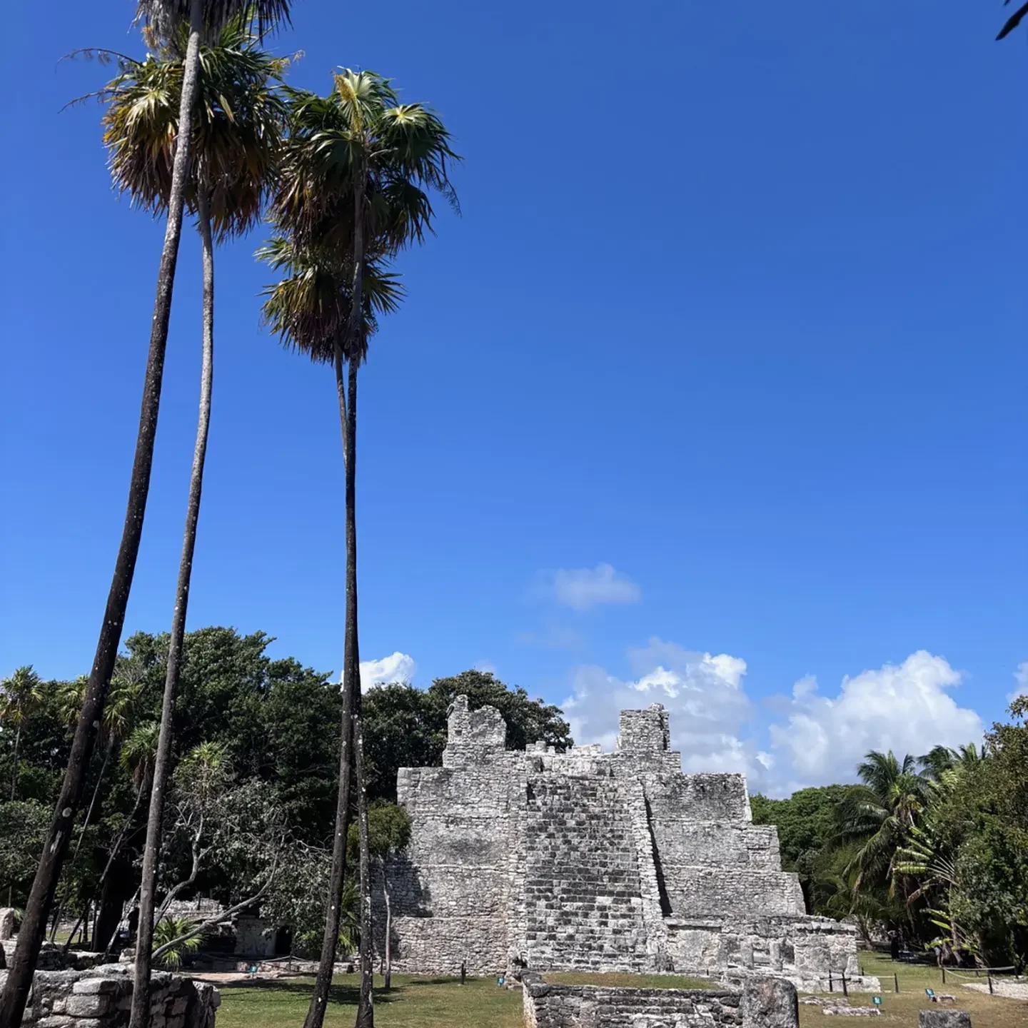 Viva México ! Rosa part en stage Erasmus+ de l'autre côté de l'Atlantique
